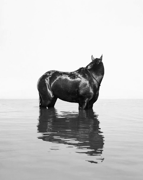 Front (Shikma River, Zikim Beach, Gaza Beach)
